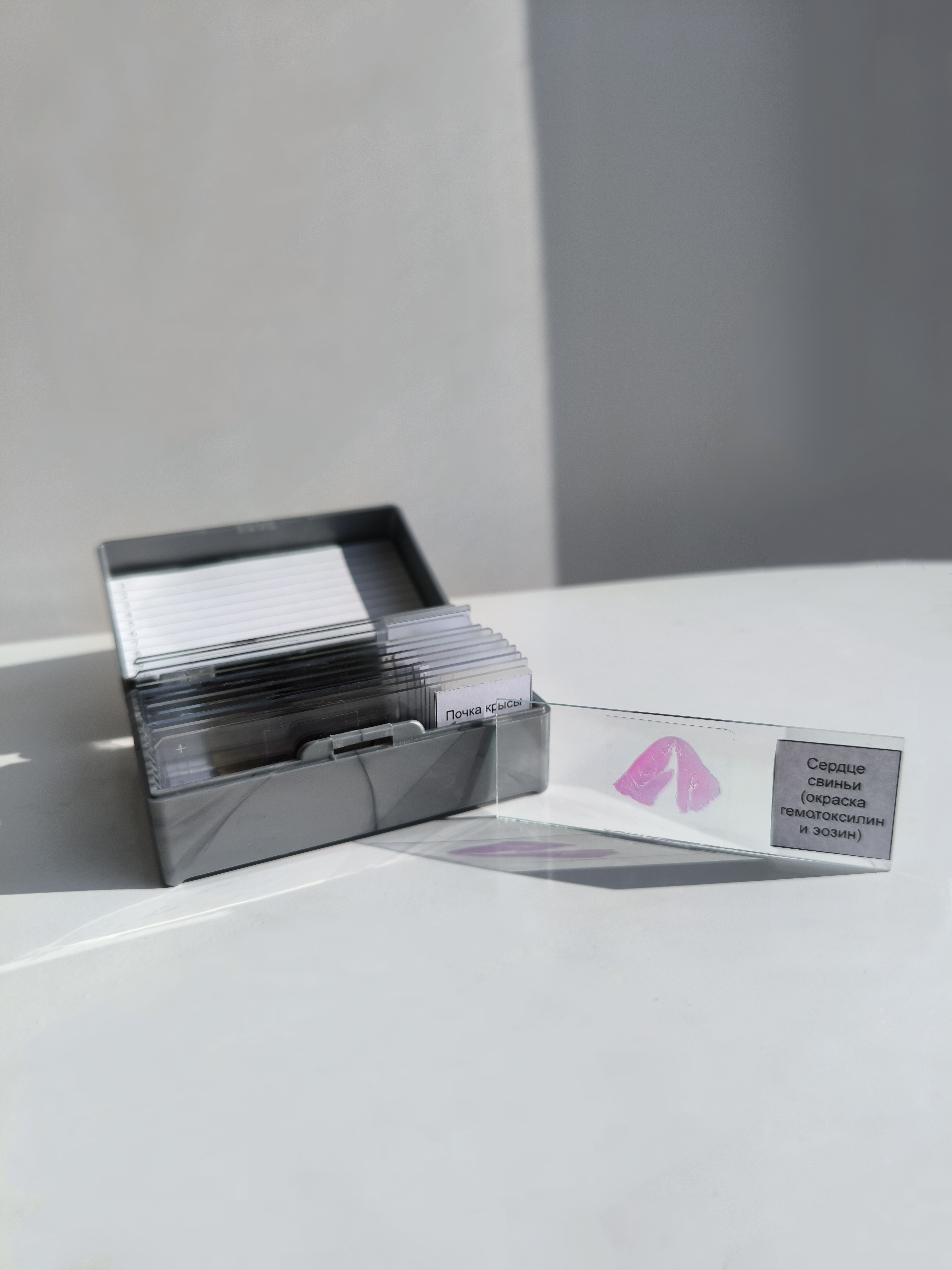 Набор стекол